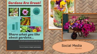 Social Media
Piktochart