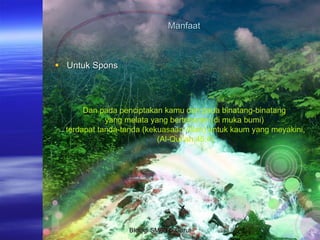 Manfaat Untuk Spons  Dan pada penciptakan kamu dan pada binatang-binatang  yang melata yang bertebaran (di muka bumi)  terdapat tanda-tanda (kekuasaan Allah) untuk kaum yang meyakini, (Al-Qur’an 45:4) BIologi SMAN 5 Garut 