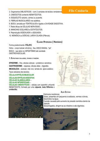 Filo Cnidaria
2. Organismos DIBLÁSTICOS – com 2 camadas de tecidos verdadeiros: EPIDERME e GATRODERME;
3. CNIDÓCITOS contendo NEMATÓCITOS;
4. ESQUELETO calcário, córneo ou ausente;
5. FIBRILAS MUSCULARES nos epitélios;
6. BOCA, cercada por TENTÁCULOS e ligada a CAVIDADE DIGESTIVA;
7. Rede difusa de CÉLULAS NERVOSAS ;
8. MANCHAS OCELARES e ESTATÓCITOS;
9. Reprodução ASSEXUADA: e SEXUADA;
10. MONÓICA ou DIÓICAS; LARVA CILIADA (Plânula);


                                       CLASSE HYDROZOA ( HIDRÓIDES)
Forma predominante: PÓLIPO
Hidra – corpo tubular cilíndrico, fixa, DISCO BASAL ‘”pé”
BOCA – que abre no HIPOSTÔMIO até cavidade
GASTROVASCULAR;

1. ESTRUTURAS CELULARES, TECIDOS E FUNÇÕES

EPIDERME – fina, células cúbicas – protetora e sensitiva;
GASTRODERME – espessa, células altas – digestão;
MESOGLÉIA – acelular, não vivo, lamela de apoio estático;
Tipos celulares dos tecidos:
CÉLULA EPITÉLIO-MUSCULAR
CÉLULAS EPITÉLIO-DIGESTIVA
CÉLULAS GLANDULARES –
CÉLULAS INTERSTICIAIS –
CÉLULAS CNIDOCÍTICAS – células com aparelho urticante
NEMATÓCITO, formado por uma cápsula, tubo filiforme e
cnidocílio;
                                                                    AÇÃO EFETORA
                                              Estímulos mecânicos;
                                              Subst. presentes em pequenos crustáceos, vermes e larvas,
                                              dissolvidos na água;
                                              Eversão causada pelo aumento da pressão osmótica dentro da
                                              cápsula;
                                              Descarregados, dirigem-se ao intestino e são digeridos;




                                                                                                      5
 