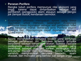 Peranan Porifera Rangka tubuh porifera mempunyai nilai ekonomi yang tinggi, karena dapat dimanfaatkan sebagai alat pembersih (penggosok) alami ataupun sebagai pengisi jok (tempat duduk) kendaraan bermotor. Euspongia oficinalis  merupakan spons yang biasa digunakan untuk mencuci, sedangkan  Euspongia mollisima  biasa digunakan sebagai alat pembersih toilet yang harganya mahal. Beberapa jenis Porifera seperti  Spongia  dan  Hippospongia  dapat digunakan sebagai spons mandi.  Spons menghasilkan senyawa bioaktif yang berfungsi sebagai pertahanan diri. Senyawa tersebut ternyata berpotensi sebagai bahan obat-obatan. Spesies  Petrosia contegnatta  mengahsilkan senyawa bioaktif yang berkhasiat sebagai obat anti kanker, sedangkan obat anti-asma diambil dari  Cymbacela . Spons  Luffariella variabilis  menghasilkan senyawa bastadin, asam okadaik, dan monoalid yang bernilai jual sangat tinggi. 