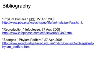 Bibliography "Phylum Porifera."  PBS . 27 Apr. 2008  http://www.pbs.org/kcet/shapeoflife/animals/porifera.html .   "Reproduction."  Infoplease . 27 Apr. 2008  http://www.infoplease.com/ce6/sci/A0860480.html .    "Sponges - Phylum Porifera." 27 Apr. 2008  http://www.woodbridge.tased.edu.au/mdc/Species%20Register/phylum_porifera.htm .        