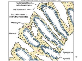 Fig. 12.7




            17
 