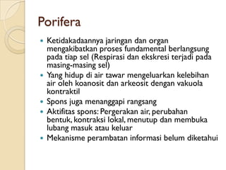 Porifera
 Ketidakadaannya jaringan dan organ
mengakibatkan proses fundamental berlangsung
pada tiap sel (Respirasi dan ekskresi terjadi pada
masing-masing sel)
 Yang hidup di air tawar mengeluarkan kelebihan
air oleh koanosit dan arkeosit dengan vakuola
kontraktil
 Spons juga menanggapi rangsang
 Aktifitas spons: Pergerakan air, perubahan
bentuk, kontraksi lokal, menutup dan membuka
lubang masuk atau keluar
 Mekanisme perambatan informasi belum diketahui
 