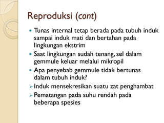 Reproduksi (cont)
 Tunas internal tetap berada pada tubuh induk
sampai induk mati dan bertahan pada
lingkungan ekstrim
 Saat lingkungan sudah tenang, sel dalam
gemmule keluar melalui mikropil
 Apa penyebab gemmule tidak bertunas
dalam tubuh induk?
Induk mensekresikan suatu zat penghambat
Pematangan pada suhu rendah pada
beberapa spesies
 