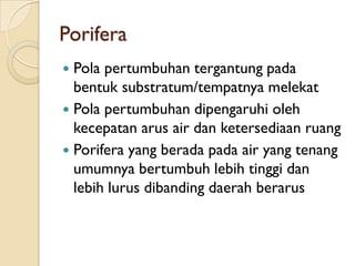 Porifera
 Pola pertumbuhan tergantung pada
bentuk substratum/tempatnya melekat
 Pola pertumbuhan dipengaruhi oleh
kecepatan arus air dan ketersediaan ruang
 Porifera yang berada pada air yang tenang
umumnya bertumbuh lebih tinggi dan
lebih lurus dibanding daerah berarus
 