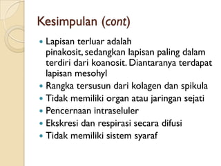 Kesimpulan (cont)
 Lapisan terluar adalah
pinakosit, sedangkan lapisan paling dalam
terdiri dari koanosit. Diantaranya terdapat
lapisan mesohyl
 Rangka tersusun dari kolagen dan spikula
 Tidak memiliki organ atau jaringan sejati
 Pencernaan intraseluler
 Ekskresi dan respirasi secara difusi
 Tidak memiliki sistem syaraf
 