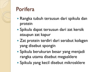 Porifera
 Rangka tubuh tersusun dari spikula dan
protein
 Spikula dapat tersusun dari zat kersik
ataupun zat kapur
 Zat protein terdiri dari serabut kolagen
yang disebut spongin
 Spikula berukuran besar yang menjadi
rangka utama disebut megasklere
 Spikula yang kecil disebut mikrosklere
 