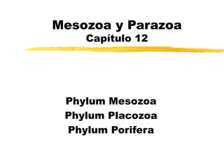 Mesozoa y Parazoa
Capítulo 12
Phylum Mesozoa
Phylum Placozoa
Phylum Porifera
 