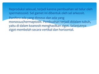  Reproduksi seksual, terjadi karena pembuahan sel telur oleh
spermatozoid. Sel gamet ini dibentuk oleh sel arkeosit.
 Ponifera ada yang dioseus dan ada yang
monossus/hermaptodit. Pembuahan terjadi didalam tubuh,
yaitu di dalam koanosit menghasilkan zigot. Selanjutnya
zigot membelah secara vertikal dan horizontal.
 