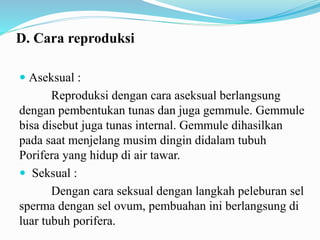 D. Cara reproduksi
 Aseksual :
Reproduksi dengan cara aseksual berlangsung
dengan pembentukan tunas dan juga gemmule. Gemmule
bisa disebut juga tunas internal. Gemmule dihasilkan
pada saat menjelang musim dingin didalam tubuh
Porifera yang hidup di air tawar.
 Seksual :
Dengan cara seksual dengan langkah peleburan sel
sperma dengan sel ovum, pembuahan ini berlangsung di
luar tubuh porifera.
 