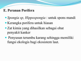 E. Peranan Porifera
 Spongia sp, Hippospongia : untuk spons mandi
 Kerangka porifera untuk hiasan
 Zat kimia yang dihasilkan sebagai obat
penyakit kanker
 Penyusun terumbu karang sehingga memiliki
fungsi ekologis bagi ekosistem laut.
 