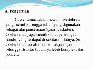 A. Pengertian
Coelenterata adalah hewan invertebrata
yang memiliki rongga tubuh yang digunakan
sebagai alat pencernaan (gastrovaskuler).
Coelenterata juga memiliki alat penyangat
(cnido) yang terdapat di sekitar mulutnya. Sel
Coelenterata sudah membentuk jaringan
sehingga struktur tubuhnya lebih kompleks dari
porifera.
 