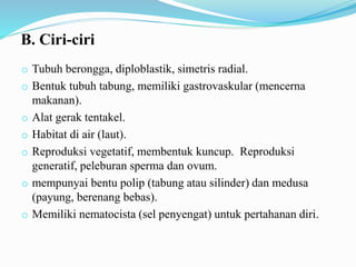 B. Ciri-ciri
o Tubuh berongga, diploblastik, simetris radial.
o Bentuk tubuh tabung, memiliki gastrovaskular (mencerna
makanan).
o Alat gerak tentakel.
o Habitat di air (laut).
o Reproduksi vegetatif, membentuk kuncup. Reproduksi
generatif, peleburan sperma dan ovum.
o mempunyai bentu polip (tabung atau silinder) dan medusa
(payung, berenang bebas).
o Memiliki nematocista (sel penyengat) untuk pertahanan diri.
 