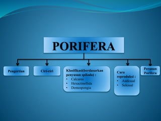 Pengertian Ciri-ciri Klasifikasi(berdasarkan
penyusun spikula) :
• Calcarea
• Hexactinellida
• Demospongia
Cara
reproduksi :
• Aseksual
• Seksual
Peranan
Porifera
 
