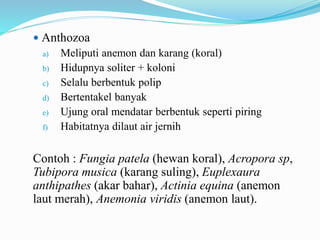  Anthozoa
a) Meliputi anemon dan karang (koral)
b) Hidupnya soliter + koloni
c) Selalu berbentuk polip
d) Bertentakel banyak
e) Ujung oral mendatar berbentuk seperti piring
f) Habitatnya dilaut air jernih
Contoh : Fungia patela (hewan koral), Acropora sp,
Tubipora musica (karang suling), Euplexaura
anthipathes (akar bahar), Actinia equina (anemon
laut merah), Anemonia viridis (anemon laut).
 