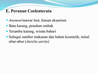 E. Peranan Coelenterata
 Anemon/mawar laut, hiasan akuarium
 Batu karang, penahan ombak
 Terumbu karang, wisata bahari
 Sebagai sumber makanan dan bahan kosmetik, misal
ubur-ubur (Aurelia aurita)
 