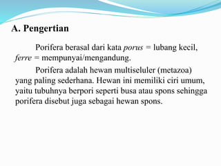 A. Pengertian
Porifera berasal dari kata porus = lubang kecil,
ferre = mempunyai/mengandung.
Porifera adalah hewan multiseluler (metazoa)
yang paling sederhana. Hewan ini memiliki ciri umum,
yaitu tubuhnya berpori seperti busa atau spons sehingga
porifera disebut juga sebagai hewan spons.
 