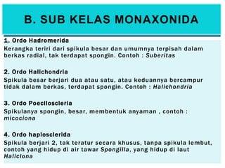 1. Ordo Hadromerida
Kerangka teriri dari spikula besar dan umumnya terpisah dalam
berkas radial, tak terdapat spongin. Contoh : Suberitas
2. Ordo Halichondria
Spikula besar berjari dua atau satu, atau keduannya bercampur
tidak dalam berkas, terdapat spongin. Contoh : Halichondria
3. Ordo Poeciloscleria
Spikulanya spongin, besar, membentuk anyaman , contoh :
micociona
4. Ordo haplosclerida
Spikula berjari 2, tak teratur secara khusus, tanpa spikula lembut,
contoh yang hidup di air tawar Spongilla, yang hidup di laut
Haliclona
B. SUB KELAS MONAXONIDA
 