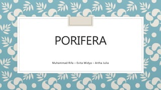 PORIFERA
Muhammad Rifa – Evita Widya – Artha Julia
 