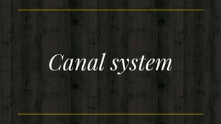 Canal system
 