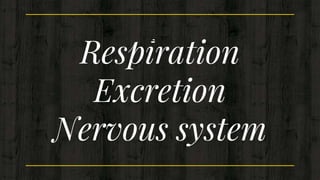 Respiration
Excretion
Nervous system
 
