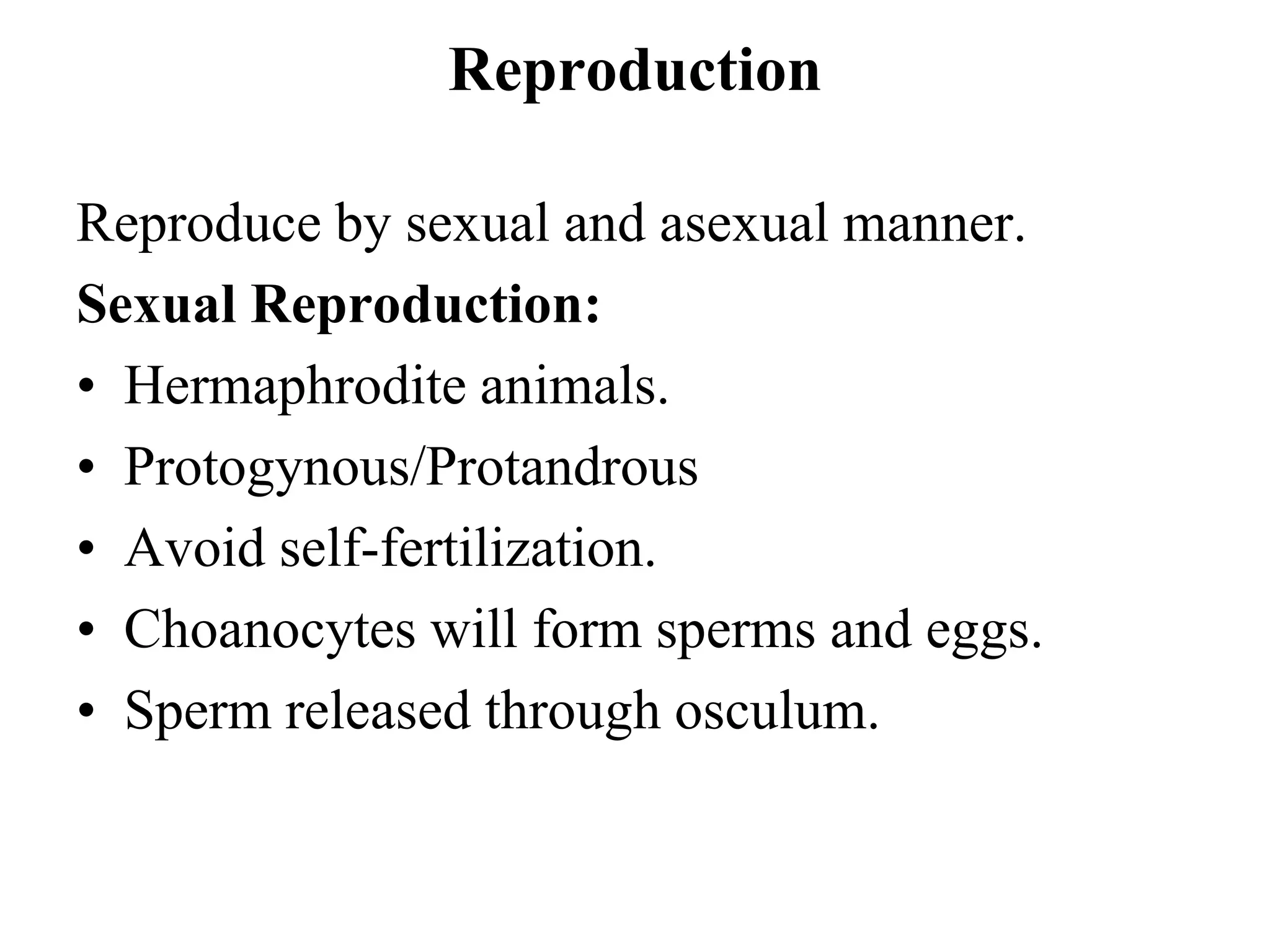 Reproduction
Reproduce by sexual and asexual manner.
Sexual Reproduction:
• Hermaphrodite animals.
• Protogynous/Protandrous
• Avoid self-fertilization.
• Choanocytes will form sperms and eggs.
• Sperm released through osculum.
 