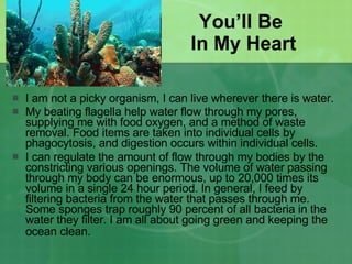You’ll Be  In My Heart I am not a picky organism, I can live wherever there is water. My beating flagella help water flow through my pores, supplying me with food oxygen, and a method of waste removal. Food items are taken into individual cells by phagocytosis, and digestion occurs within individual cells.  I can regulate the amount of flow through my bodies by the constricting various openings. The volume of water passing through my body can be enormous, up to 20,000 times its volume in a single 24 hour period. In general, I feed by filtering bacteria from the water that passes through me. Some sponges trap roughly 90 percent of all bacteria in the water they filter. I am all about going green and keeping the ocean clean.   