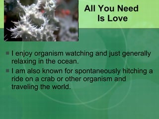 All You Need  Is Love I enjoy organism watching and just generally relaxing in the ocean. I am also known for spontaneously hitching a ride on a crab or other organism and traveling the world. 