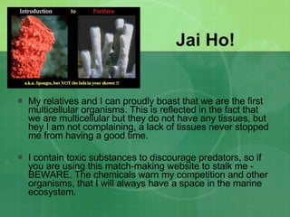 Jai Ho! My relatives and I can proudly boast that we are the first multicellular organisms. This is reflected in the fact that we are multicellular but they do not have any tissues, but hey I am not complaining, a lack of tissues never stopped me from having a good time. I contain toxic substances to discourage predators, so if you are using this match-making website to stalk me - BEWARE. The chemicals warn my competition and other organisms, that I will always have a space in the marine ecosystem.  