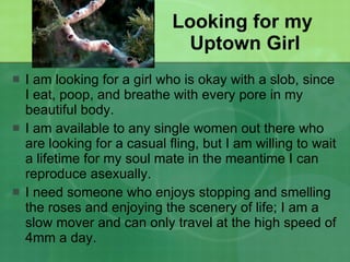 Looking for my  Uptown Girl I am looking for a girl who is okay with a slob, since I eat, poop, and breathe with every pore in my beautiful body. I am available to any single women out there who are looking for a casual fling, but I am willing to wait a lifetime for my soul mate in the meantime I can reproduce asexually. I need someone who enjoys stopping and smelling the roses and enjoying the scenery of life; I am a slow mover and can only travel at the high speed of 4mm a day. 