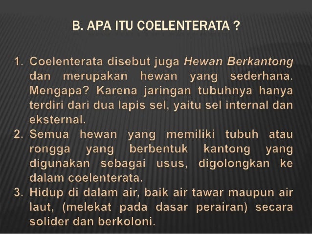 Porifera Dan Coelenterata