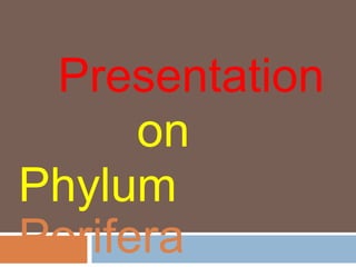 Presentation
on
Phylum
Porifera
 