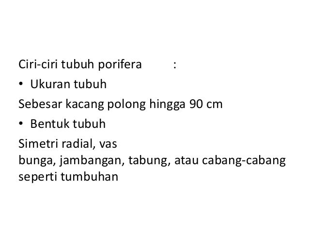 Porifera (hewan spons)