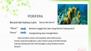 PORIFERA 
Berasal dari bahasa Latin “porus dan ferra” 
“Porus” bentuk tunggal dari pori yang berarti lubang kecil 
“Ferra” mengandung atau mengemban 
Kata tersebut untuk menunjukkan akan kekhususan 
hewan yang bersangkutan, yaitu hewan yang memiliki banyak 
lubang-lubang kecil dan bila disingkat cukup disebut hewan 
berpori. 
 