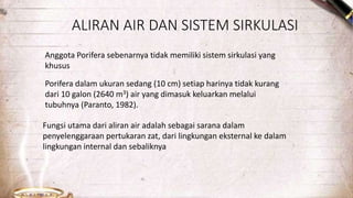 ALIRAN AIR DAN SISTEM SIRKULASI 
Anggota Porifera sebenarnya tidak memiliki sistem sirkulasi yang 
khusus 
Porifera dalam ukuran sedang (10 cm) setiap harinya tidak kurang 
dari 10 galon (2640 m3) air yang dimasuk keluarkan melalui 
tubuhnya (Paranto, 1982). 
Fungsi utama dari aliran air adalah sebagai sarana dalam 
penyelenggaraan pertukaran zat, dari lingkungan eksternal ke dalam 
lingkungan internal dan sebaliknya 
 
