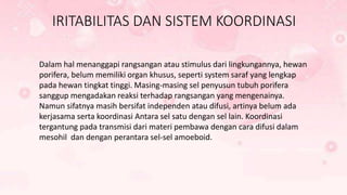 IRITABILITAS DAN SISTEM KOORDINASI 
Dalam hal menanggapi rangsangan atau stimulus dari lingkungannya, hewan 
porifera, belum memiliki organ khusus, seperti system saraf yang lengkap 
pada hewan tingkat tinggi. Masing-masing sel penyusun tubuh porifera 
sanggup mengadakan reaksi terhadap rangsangan yang mengenainya. 
Namun sifatnya masih bersifat independen atau difusi, artinya belum ada 
kerjasama serta koordinasi Antara sel satu dengan sel lain. Koordinasi 
tergantung pada transmisi dari materi pembawa dengan cara difusi dalam 
mesohil dan dengan perantara sel-sel amoeboid. 
 