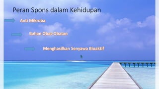 Peran Spons dalam Kehidupan 
 