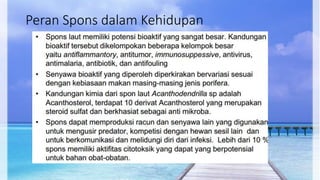 Peran Spons dalam Kehidupan 
 