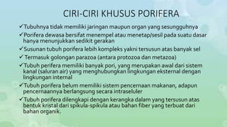 CIRI-CIRI KHUSUS PORIFERA 
Tubuhnya tidak memiliki jaringan maupun organ yang sesungguhnya 
Porifera dewasa bersifat menempel atau menetap/sesil pada suatu dasar 
hanya menunjukkan sedikit gerakan 
Susunan tubuh porifera lebih kompleks yakni tersusun atas banyak sel 
Termasuk golongan parazoa (antara protozoa dan metazoa) 
Tubuh perifera memiliki banyak pori, yang merupakan awal dari sistem 
kanal (saluran air) yang menghubungkan lingkungan eksternal dengan 
lingkungan internal 
Tubuh porifera belum memiliki sistem pencernaan makanan, adapun 
pencernaannya berlangsung secara intraseluler 
Tubuh porifera dilengkapi dengan kerangka dalam yang tersusun atas 
bentuk kristal dari spikula-spikula atau bahan fiber yang terbuat dari 
bahan organik. 
 