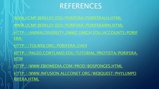 REFERENCES
WWW.UCMP.BERKLEY.EDU/PORIFERA/PORIFERALH.HTML
WWW.UCMP.BERKLEY.EDU/PORIFERA/PORIFERAMM.HTML
HTTP://ANIMALDIVERSITY.UMMZ.UMICH.EDU/ACCOUNTS/PORIF
ERA/
HTTP://TOLWEB.ORG/PORIFERA/2464
HTTP://PALEO.CORTLAND.EDU/TUTORIAL/PROTISTA/PORIFERA.
HTM
HTTP://WWW.EBIOMEDIA.COM/PROD/BOSPONGES.HTML
HTTP://WWW.INFUSION.ALLCONET.ORG/WEBQUEST/PHYLUMPO
RIFERA.HTML
 