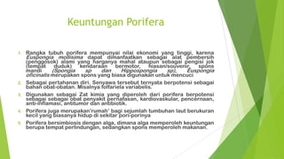 Keuntungan Porifera
1. Rangka tubuh porifera mempunyai nilai ekonomi yang tinggi, karena
Euspongia mollisima dapat dimanfaatkan sebagai alat pembersih
(penggosok) alami yang harganya mahal ataupun sebagai pengisi jok
(tempat duduk) kendaraan bermotor, hiasan/souvenir, spons
mandi (Spongia sp dan Hippospongia sp), Euspongia
oficinalis merupakan spons yang biasa digunakan untuk mencuci
2. Sebagai pertahanan diri. Senyawa tersebut ternyata berpotensi sebagai
bahan obat-obatan. Misalnya folfariela variabelis.
3. Digunakan sebagai Zat kimia yang diperoleh dari porifera berpotensi
sebagai sebagai obat penyakit pernafasan, kardiovaskular, pencernaan,
anti-inflamasi, antitumor dan antibiotik.
4. Porifera juga merupakan’rumah’ bagi sejumlah tumbuhan laut berukuran
kecil yang biasanya hidup di sekitar pori-porinya
5. Porifera bersimbiosis dengan alga, dimana alga memperoleh keuntungan
berupa tempat perlindungan, sedangkan spons memperoleh makanan.
 