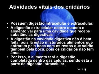 Atividades vitais dos cnidários Possuem digestão intracelular e extracelular. A digestão extracelular ocorre quando o alimento vai para uma cavidade que recebe substâncias digestivas A digestão na cavidade digestiva não é bem feita, pois lá estão misturados alimentos que entraram pela boca com os restos que sairão também pela boca, pois os cnidários não tem ânus. Por isso, o alimento terá a digestão completada dentro das células, sendo esta a parte da digestão intracelular. 