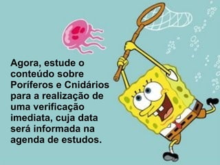 Agora, estude o conteúdo sobre Poríferos e Cnidários para a realização de uma verificação imediata, cuja data será informada na agenda de estudos.  