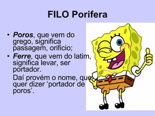 FILO Porifera Poros , que vem do grego, significa passagem, orificio; Ferre , que vem do latim, significa levar, ser portador. Daí provém o nome, que quer dizer ‘portador de poros’. 