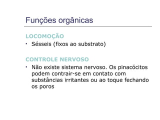 Funções orgânicas
LOCOMOÇÃO
 Sésseis (fixos ao substrato)



CONTROLE NERVOSO
 Não existe sistema nervoso. Os pinacócitos
  podem contrair-se em contato com
  substâncias irritantes ou ao toque fechando
  os poros
 