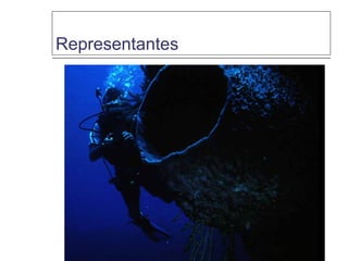 Representantes
 