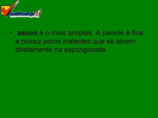 • ascon é o mais simples. A parede é fina
  e possui poros inalantes que se abrem
  diretamente na espongiocela.
 