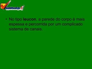 • No tipo leucon, a parede do corpo é mais
  espessa e percorrida por um complicado
  sistema de canais.
 