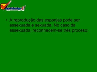 • A reprodução das esponjas pode ser
  assexuada e sexuada. No caso da
  assexuada, reconhecem-se três proceso:
 