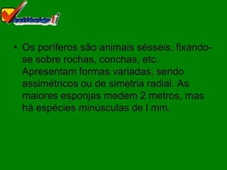 • Os poríferos são animais sésseis, fixando-
  se sobre rochas, conchas, etc.
  Apresentam formas variadas, sendo
  assimétricos ou de simetria radial. As
  maiores esponjas medem 2 metros, mas
  há espécies minúsculas de l mm.
 